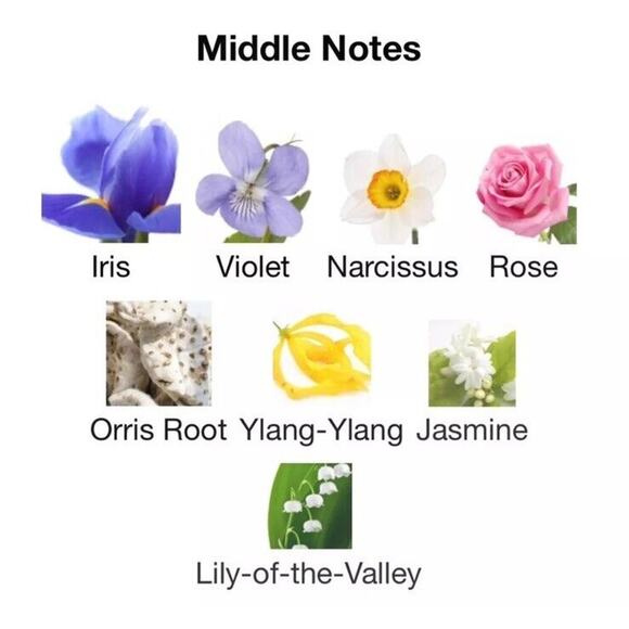 LE FALCONE BONITA ROUGE POUR FEMME EDP Perfume 100 ML SEALED NEW IN BOX - Picture 8 of 9